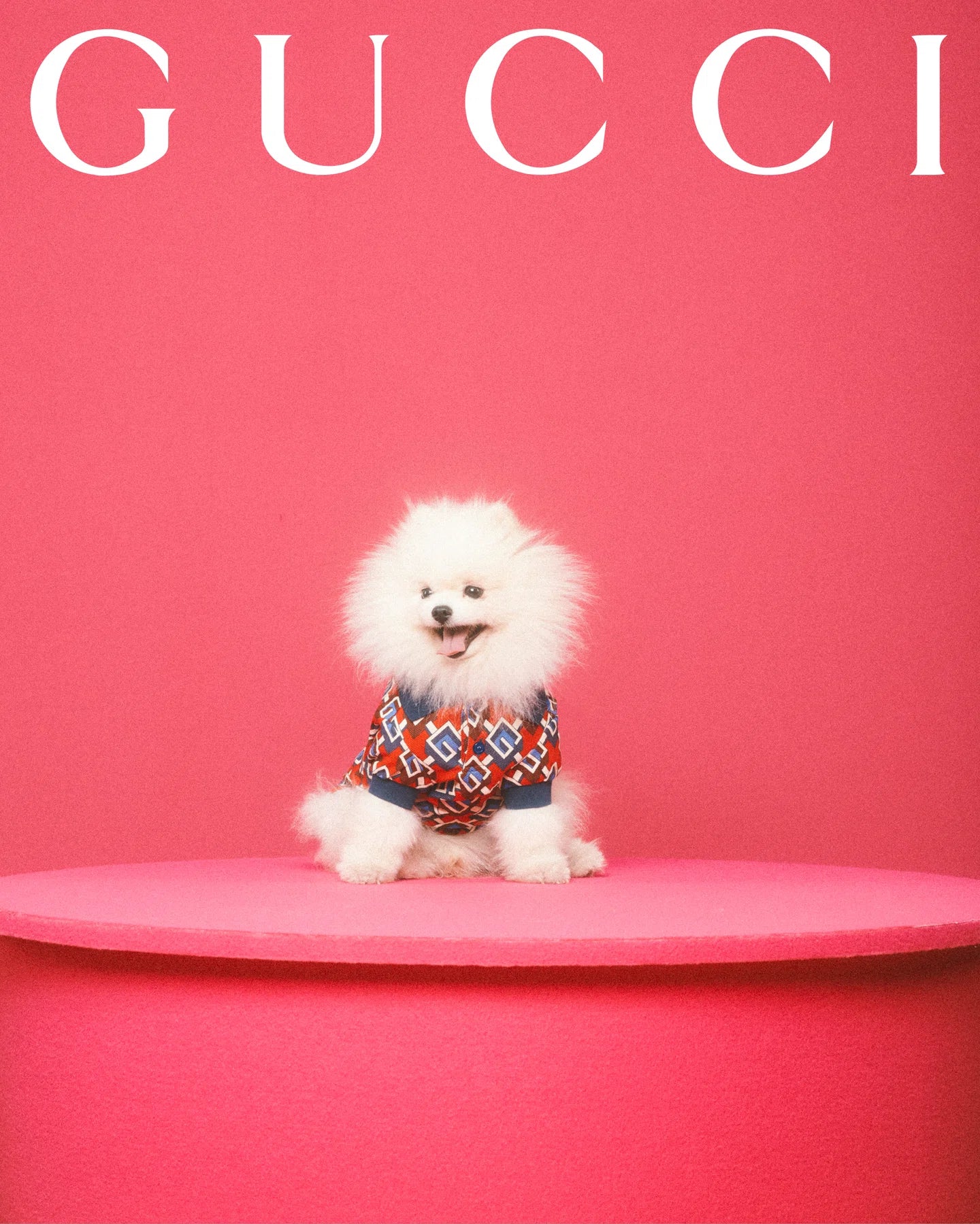 GUCCI- NWT 2022 Logo Print Doggie Polo Shirt, Size XXS