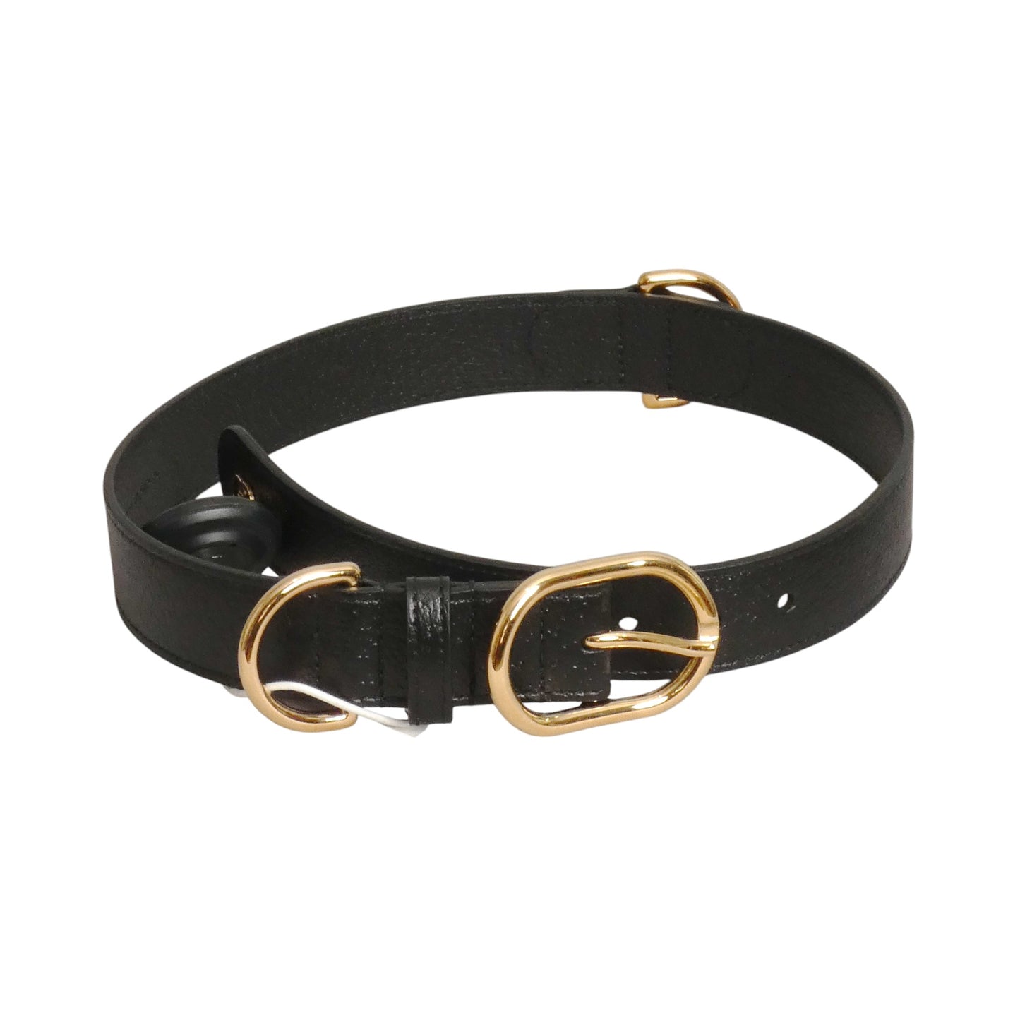 GUCCI- 2022 Black Demetra Dog Collar, Size XL