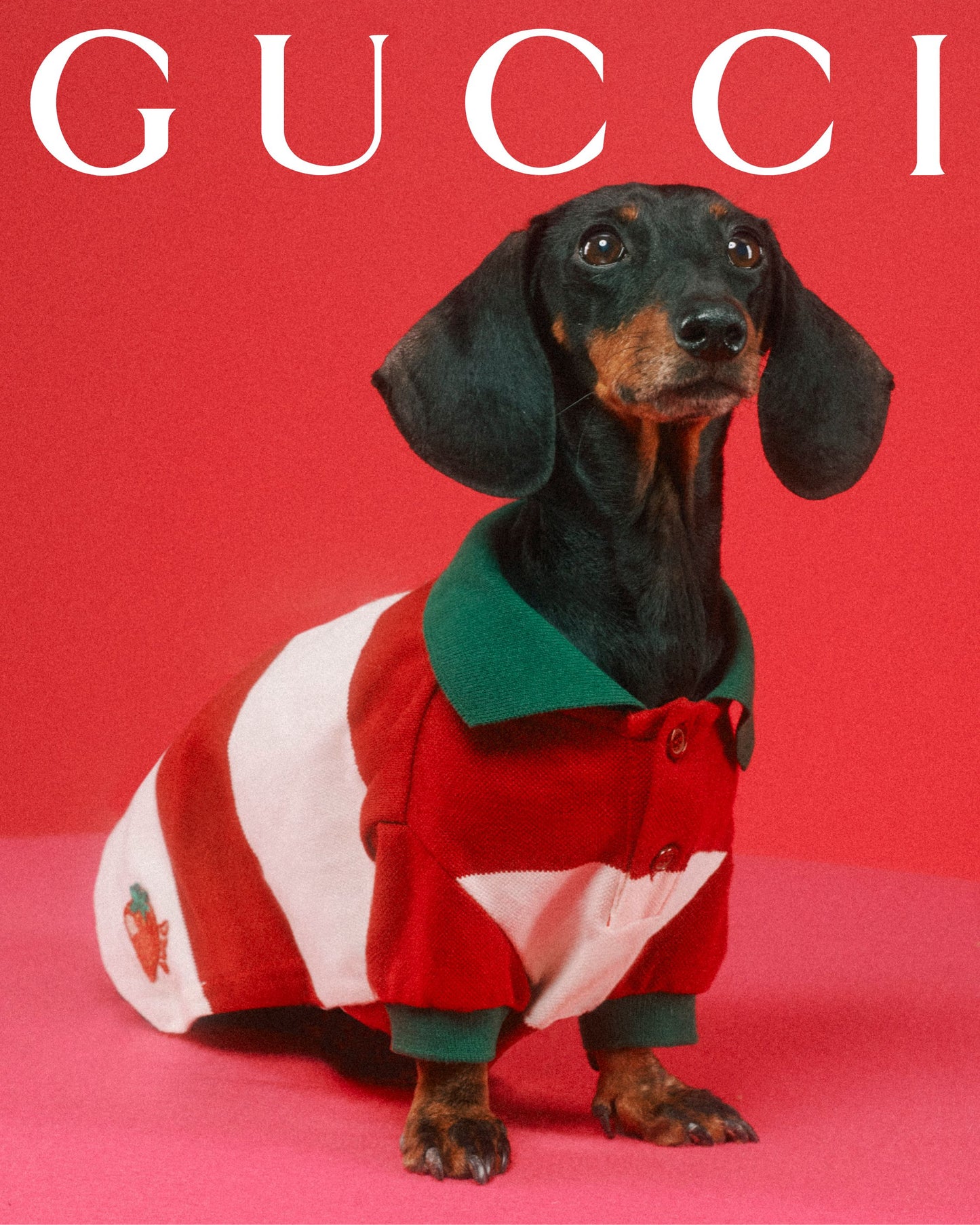 GUCCI- NWT 2022 Striped Dog Polo Shirt, Size Medium