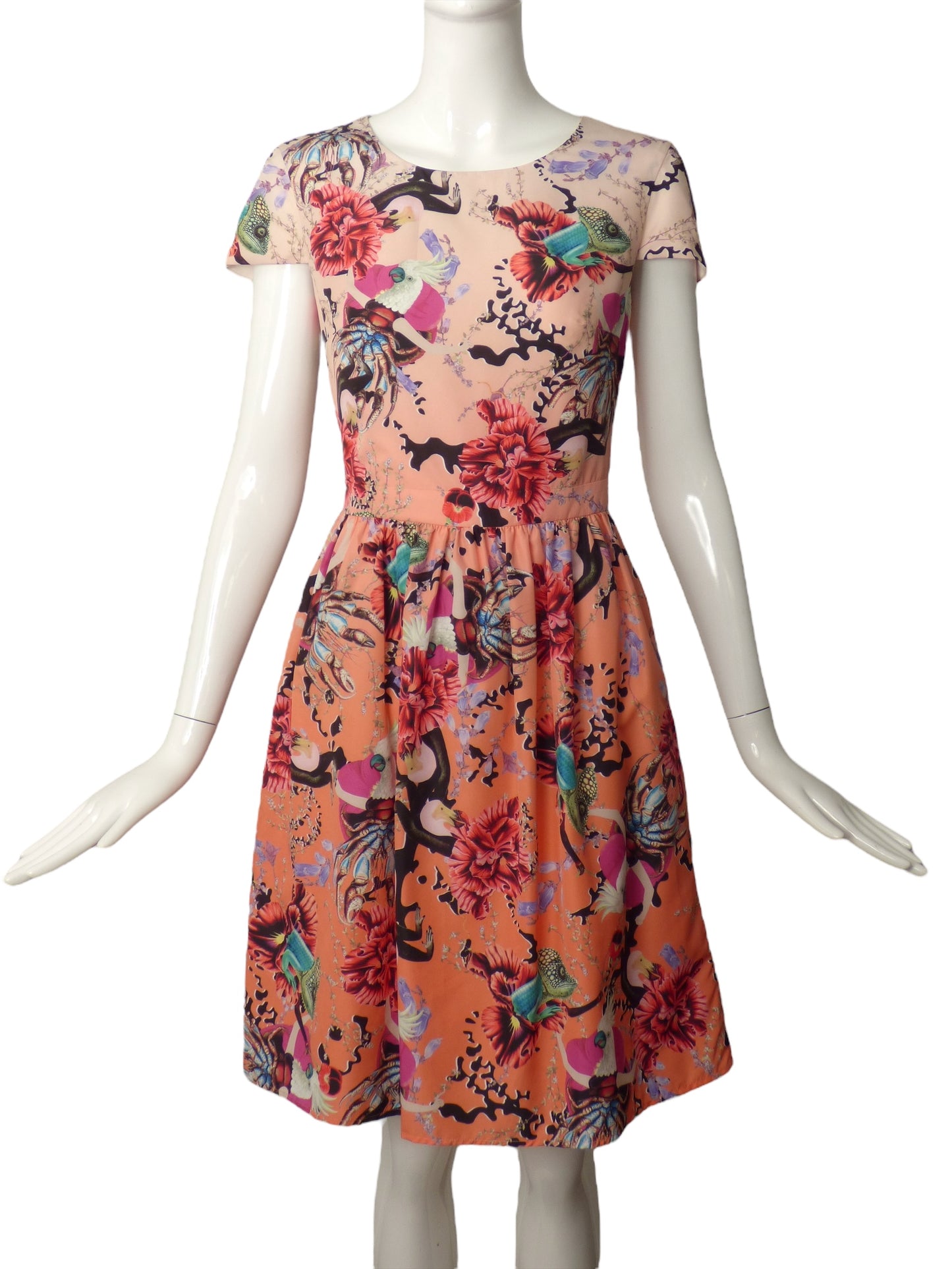 MARY KATRANTZOU- NWT Tropical Print Dress, Size 4