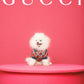 GUCCI- NWT 2022 Logo Print Doggie Polo Shirt, Size XXS