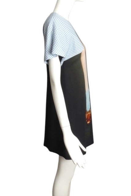 MOSCHINO COUTURE- NWT Wizard of Oz Dress, Size 4