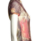CASADEI- 1990s Printed Mesh Top, Size 4