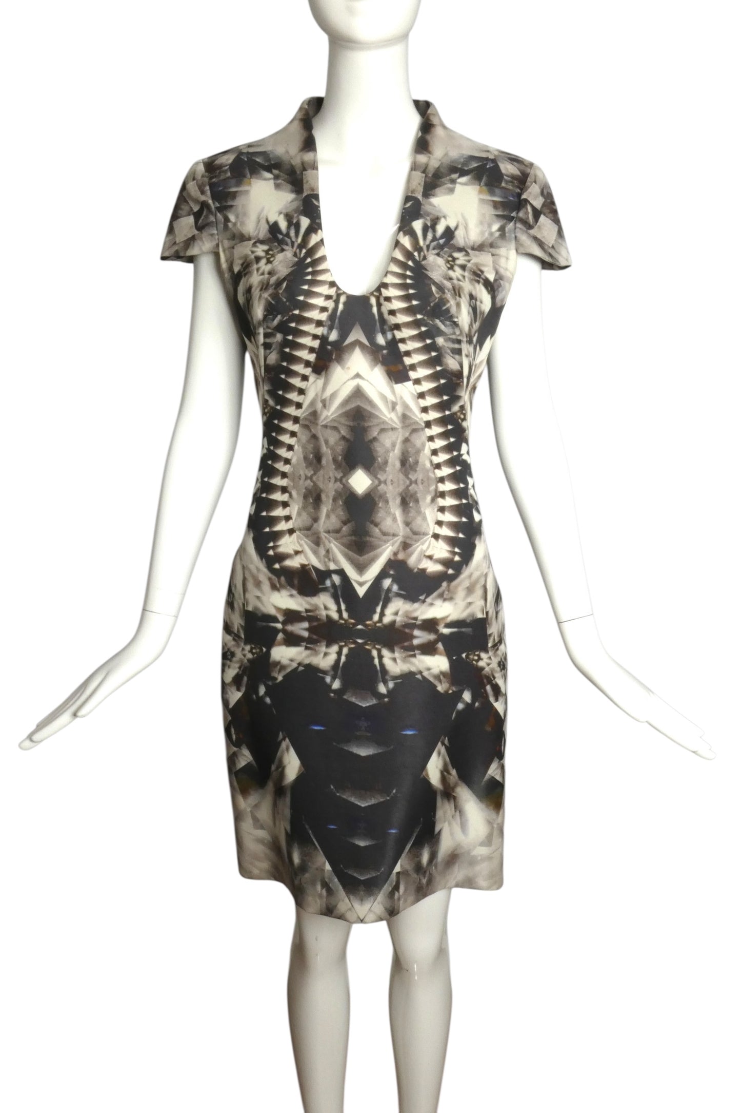 ALEXANDER MCQUEEN- 2009 Printed Silk Blend Dress, Size 8