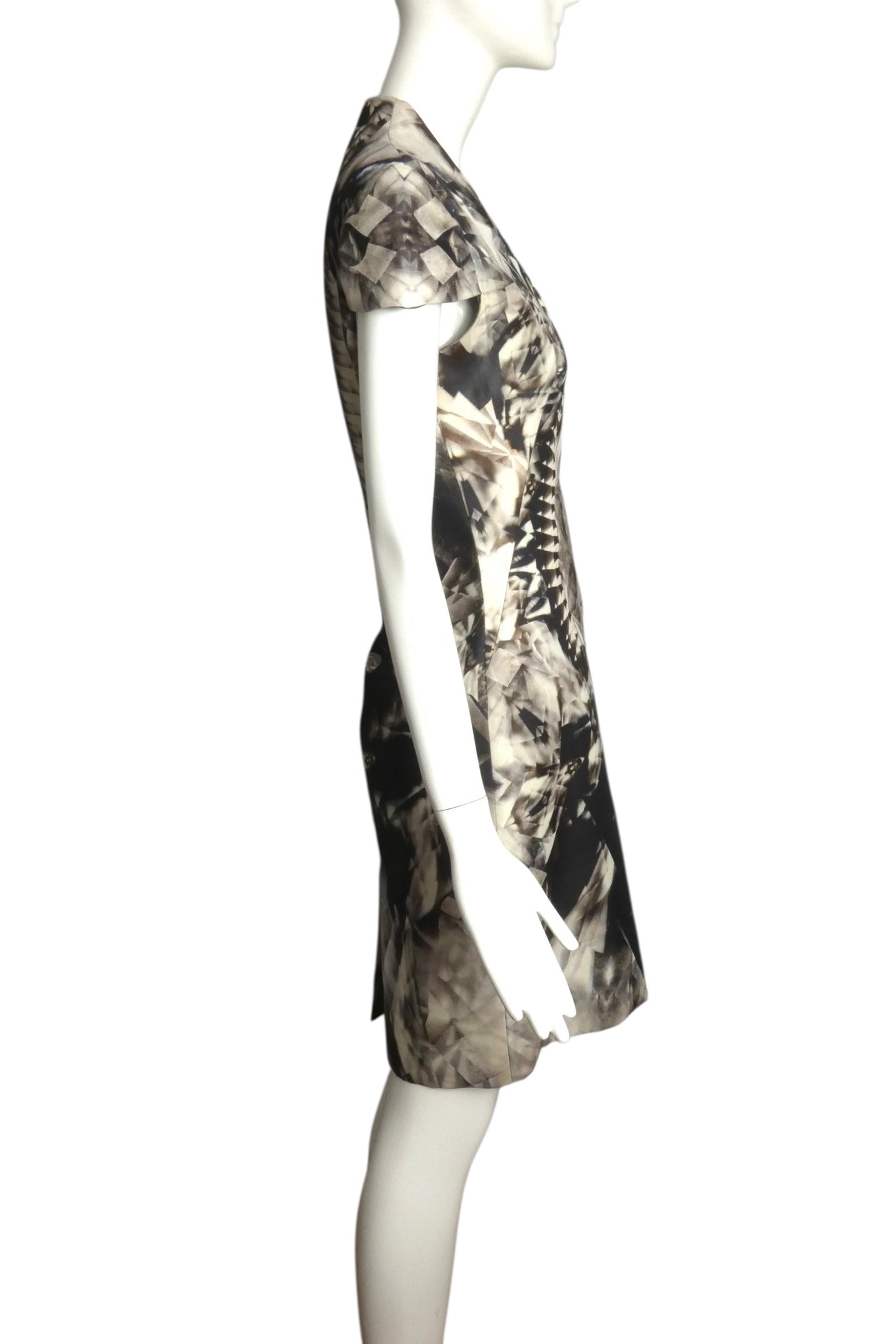ALEXANDER MCQUEEN- 2009 Printed Silk Blend Dress, Size 8