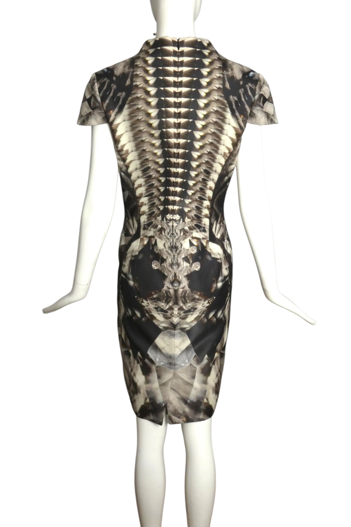 ALEXANDER MCQUEEN- 2009 Printed Silk Blend Dress, Size 8