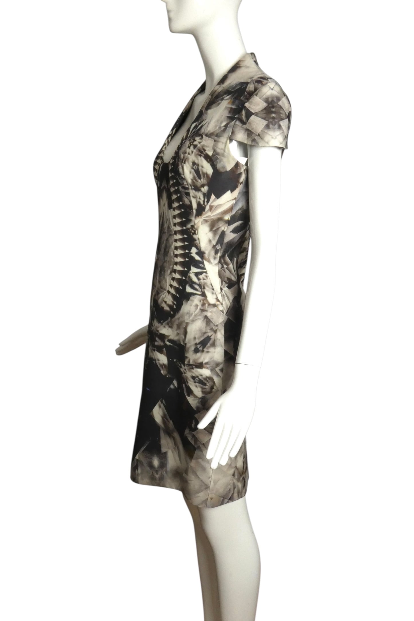 ALEXANDER MCQUEEN- 2009 Printed Silk Blend Dress, Size 8