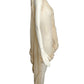 THOMAS WYLDE- NWT Ivory Fringed Ruffle Chiffon Vest, Size Small