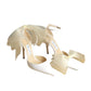 2021 NIB Averly 100 Bow Pumps, Size-40