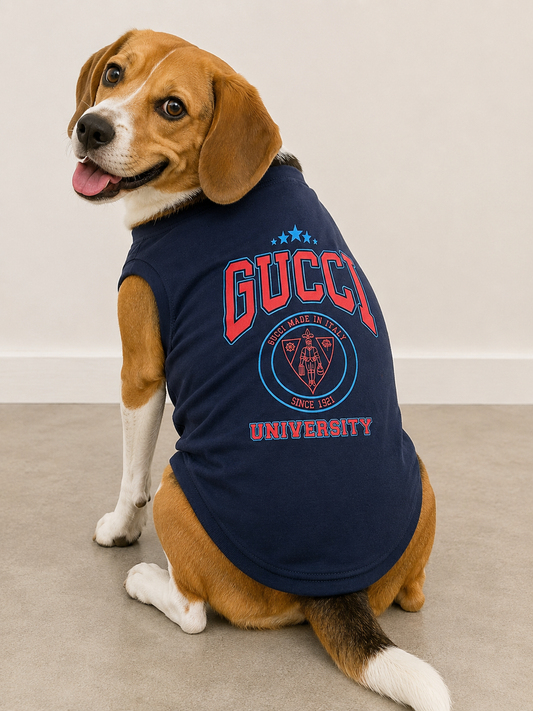 2025 NWT Varsity T-Shirt, Size-Medium