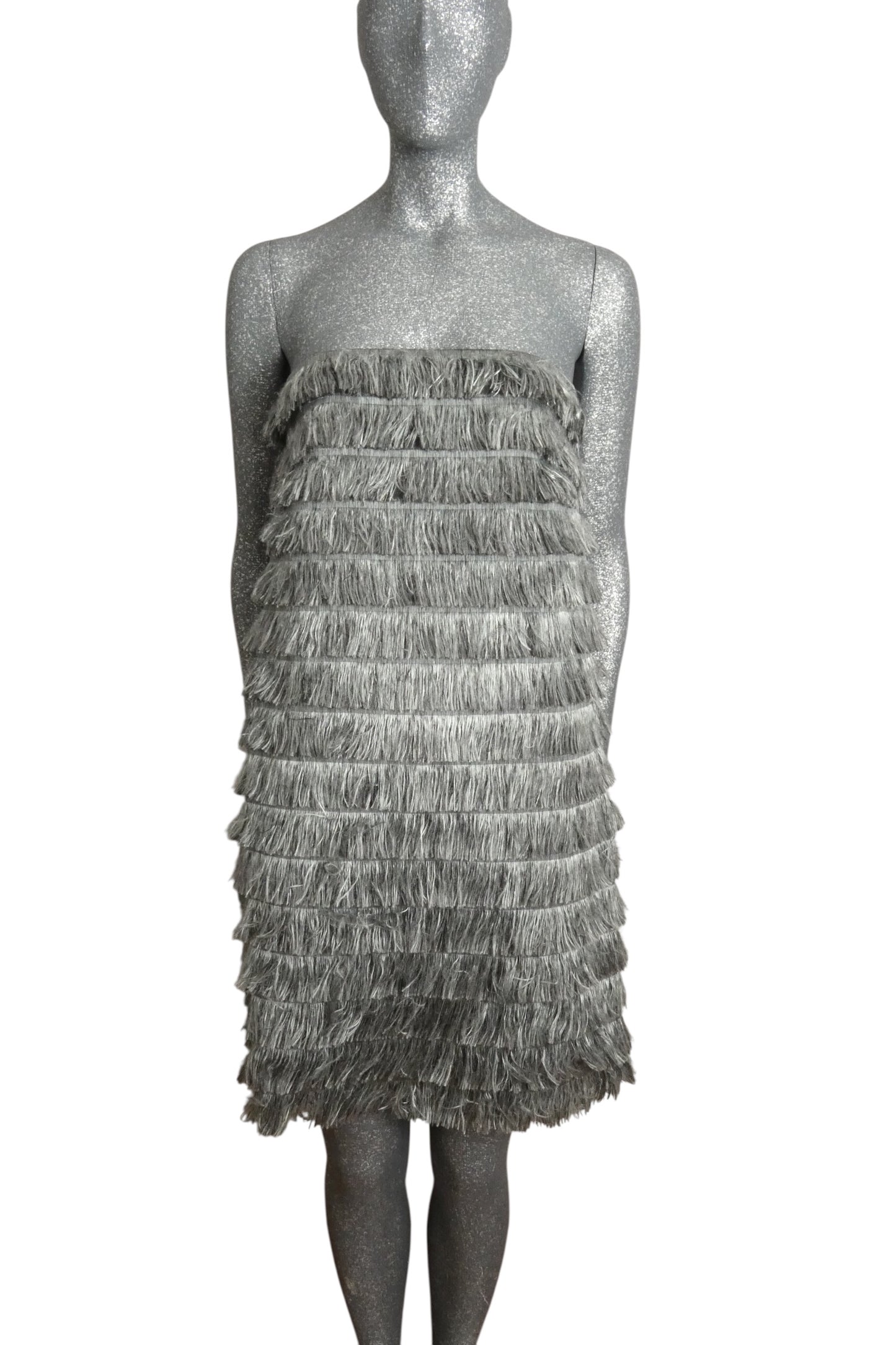 NWT 2023 Strapless Fringe Dress, Size 4