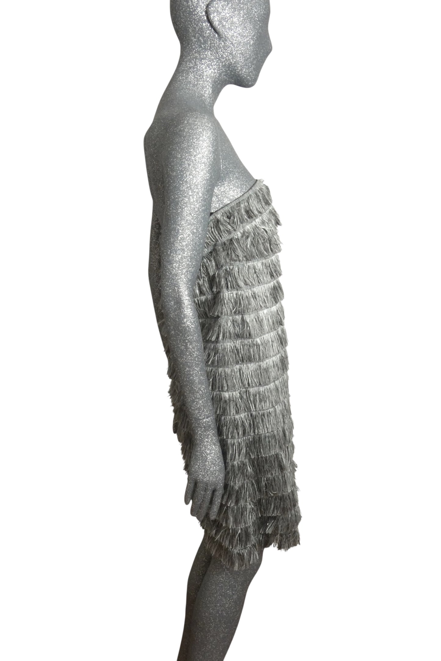 NWT 2023 Strapless Fringe Dress, Size 4