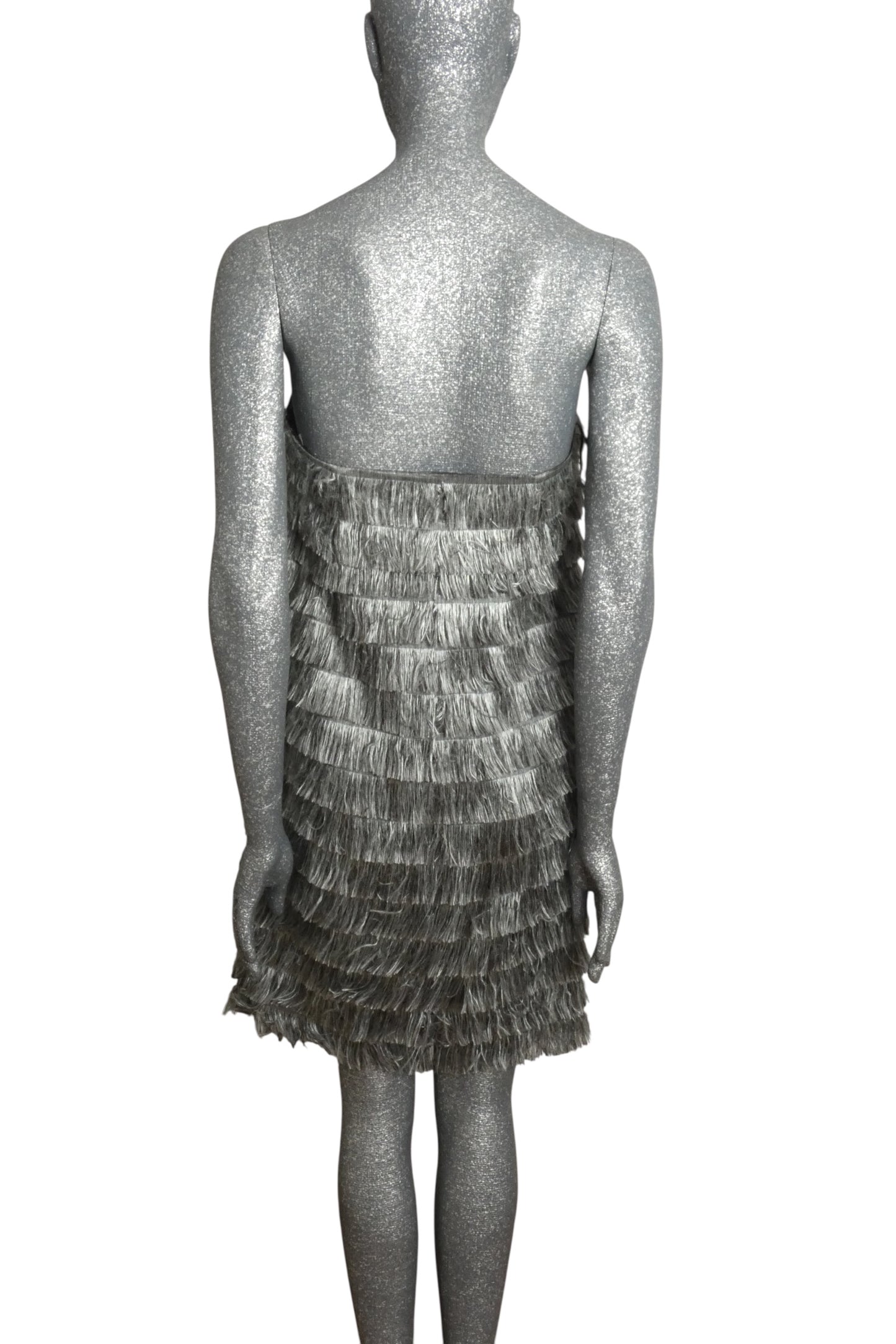 NWT 2023 Strapless Fringe Dress, Size 4