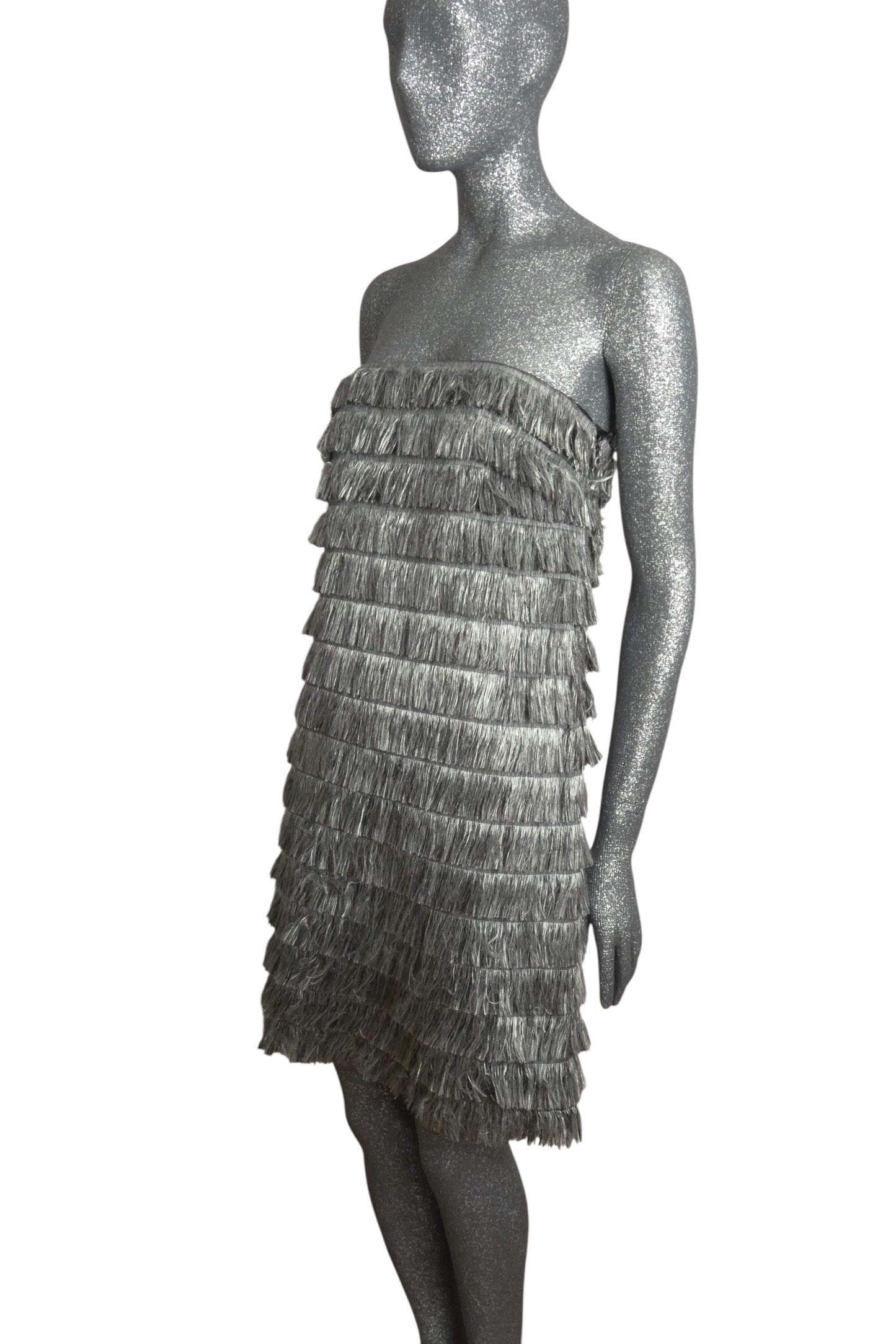 NWT 2023 Strapless Fringe Dress, Size 4