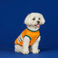 GUCCI- NWT 2022 Interlocking GG Dog T-Shirt, Size Small