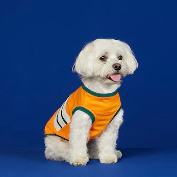 GUCCI- NWT 2022 Interlocking GG Dog T-Shirt, Size Small