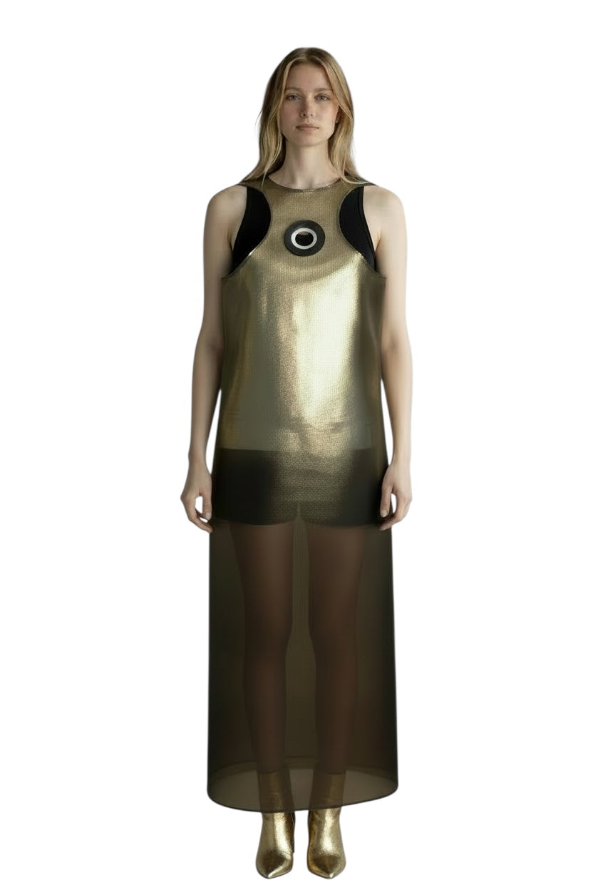 2008 Metal Mesh Dress, Size 4