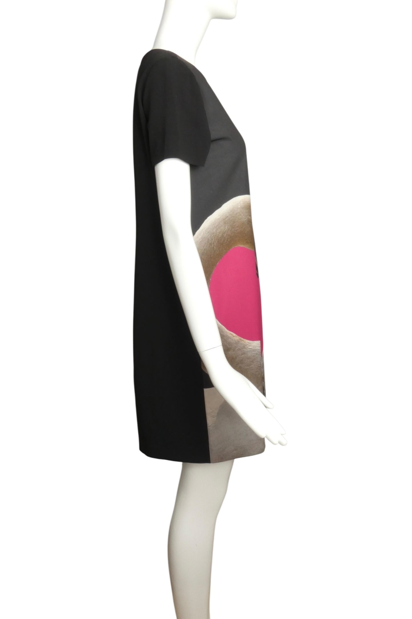 MOSCHINO CHEAP & CHIC - 2013 Rayon Print Shift Dress, Size-8